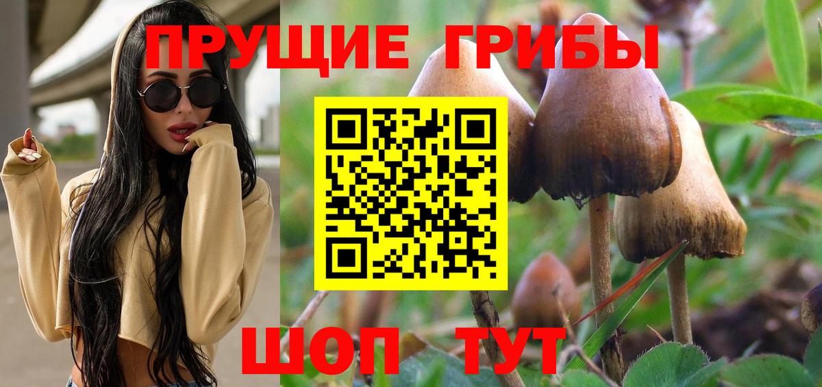 Галлюциногенные грибы Magic Shrooms  купить закладку  Галлюциногенные грибы MAGIC MUSHROOMS  Соликамск  Вход с VPN 