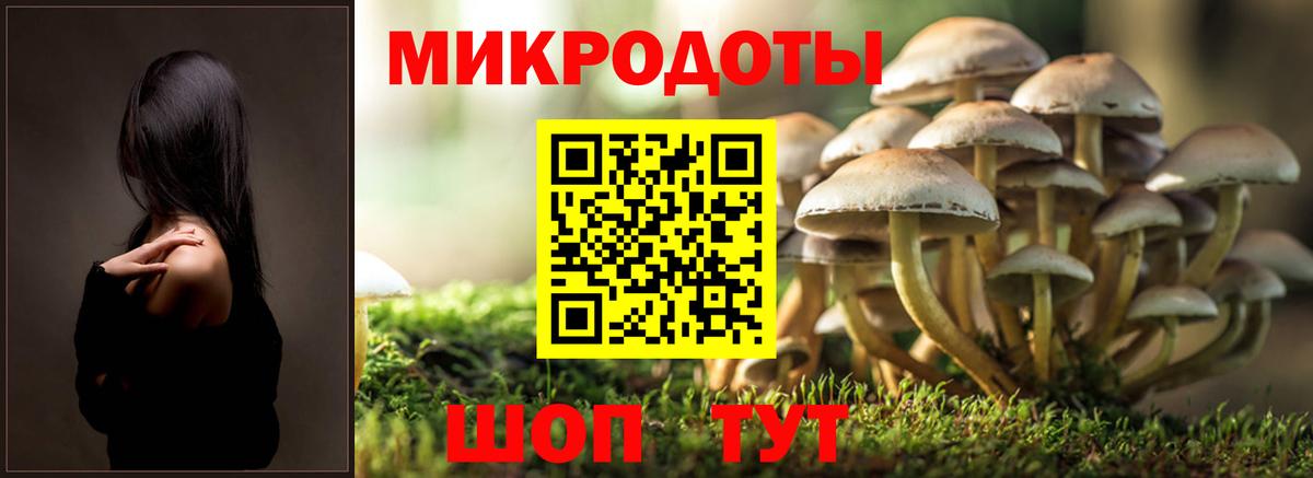 Псилоцибиновые грибы прущие грибы Соликамск